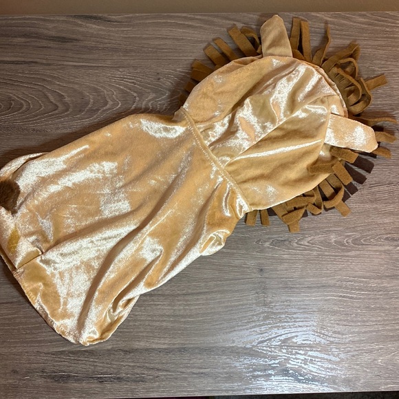 Velour Lion Costume - Picture 2 of 6